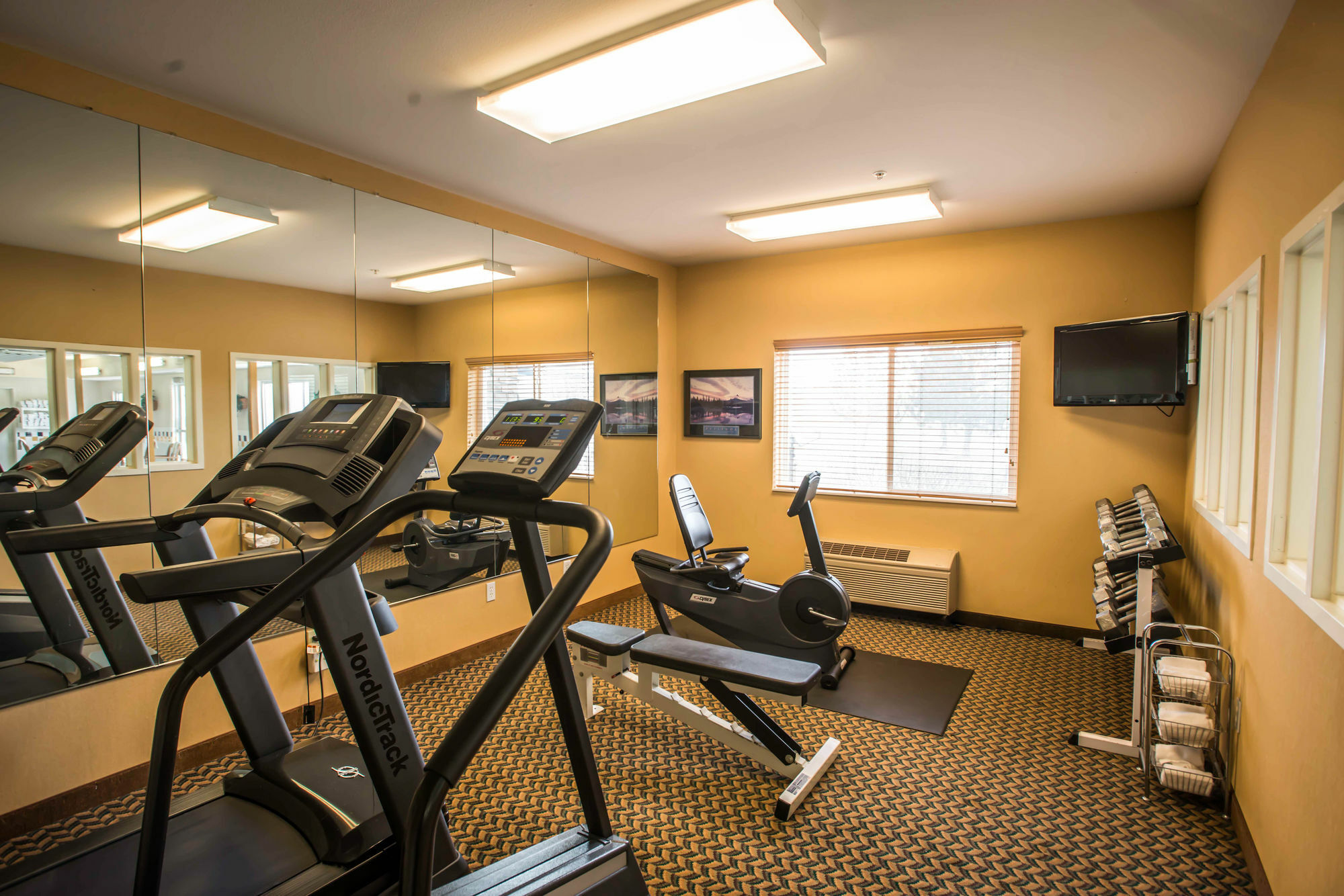 Comfort Inn Fort Collins North מראה חיצוני תמונה