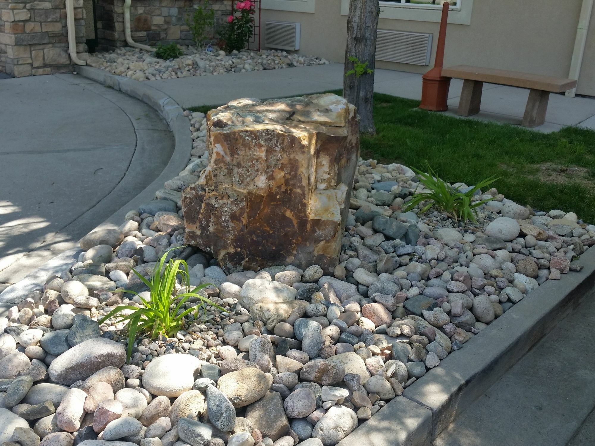 Comfort Inn Fort Collins North מראה חיצוני תמונה